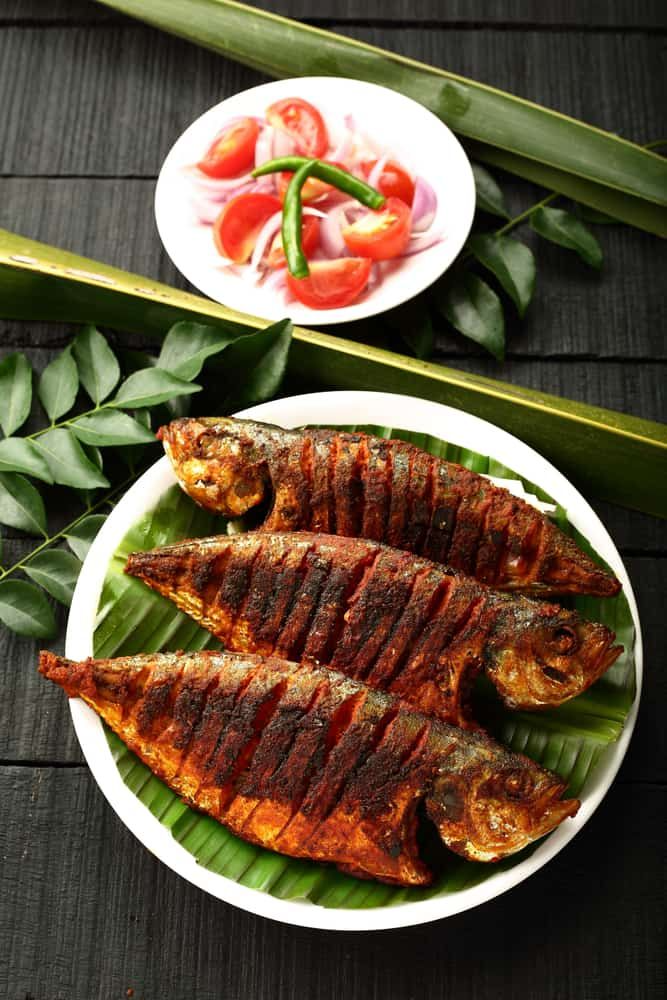 Mackerel Fry